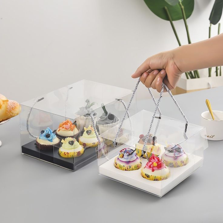 Cupcake Boxes
